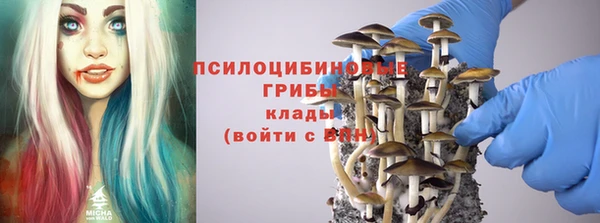 прущие грибы Балабаново