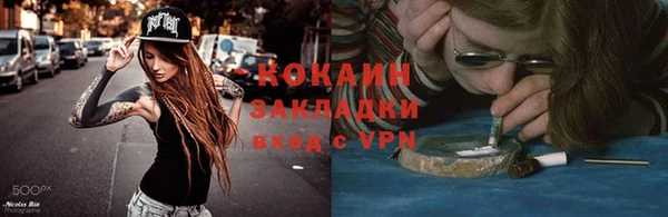 прущие грибы Балабаново