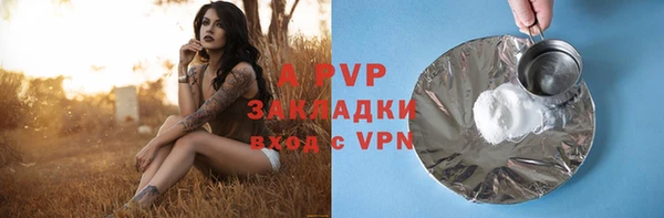 прущие грибы Балабаново