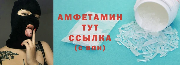 прущие грибы Балабаново