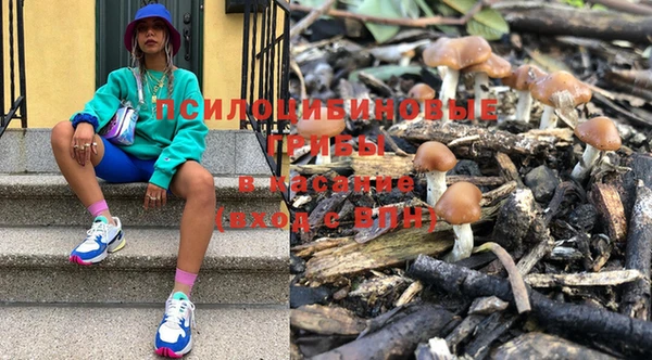 спайс Баксан