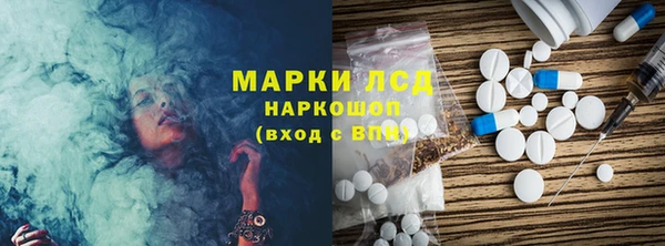 прущие грибы Балабаново