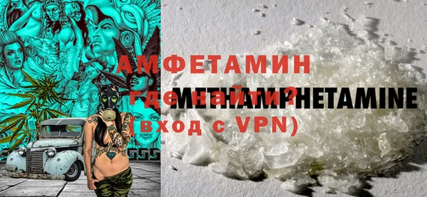 прущие грибы Балабаново