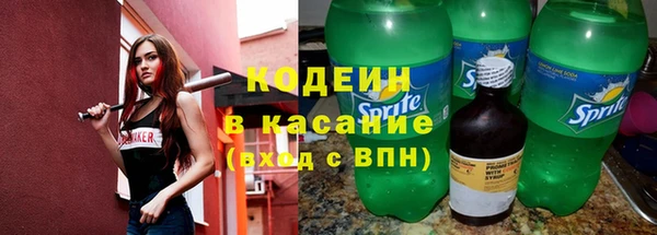 ешки Аркадак