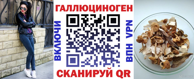 гидра tor  Олонец  Псилоцибиновые грибы Cubensis  купить наркоту 