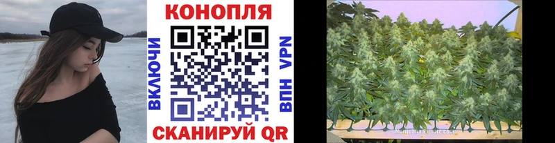 Бошки марихуана марихуана  Олонец 